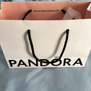 Pandora bag and tissue paper *BAG AND PAPER ONLY*